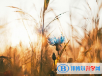 達州2022年中考失利