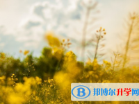 達州2022年中考特長生招生簡章