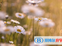 達州2022年中考調(diào)招