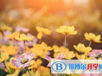 達州2022年中考統(tǒng)考成績