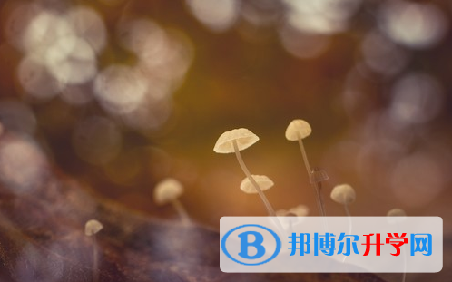 達州2022年中考網報