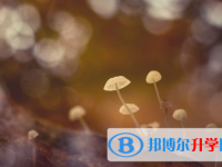 達州2022年中考網(wǎng)報