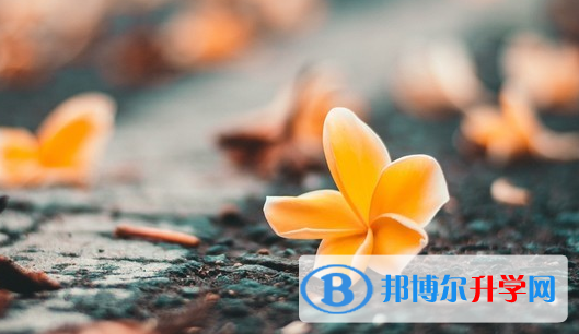 達(dá)州2022年中考網(wǎng)登錄