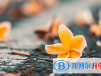 達州2022年中考網(wǎng)登錄