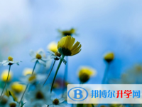 達州2022年中考網(wǎng)絡登錄