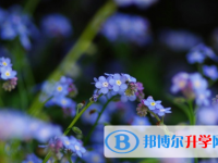 達州2022年中考網(wǎng)絡服務平臺