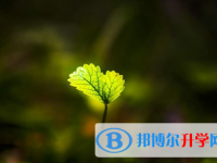 達州2022年中考網(wǎng)絡服務應用平臺