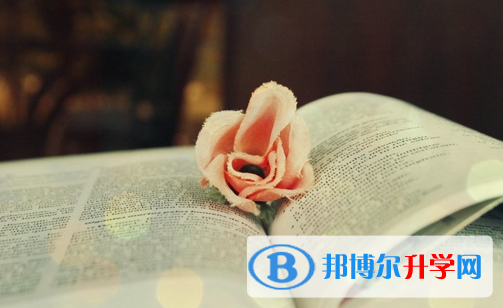 達(dá)州2022年中考網(wǎng)絡(luò)平臺