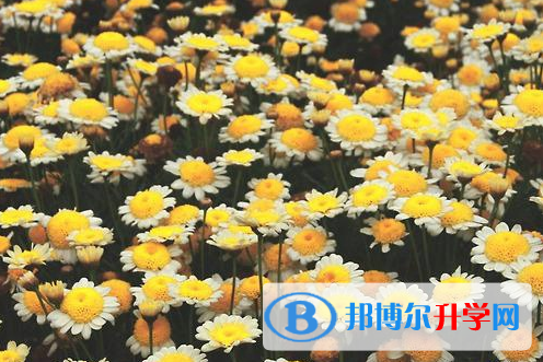 達州2022年中考網(wǎng)上報考信息平臺