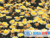 達州2022年中考網(wǎng)上報考信息平臺
