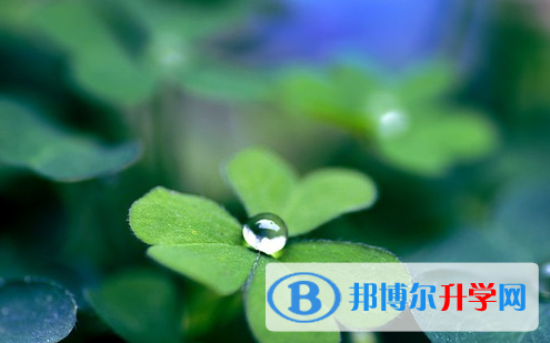 達州2022年中考網上模擬報名