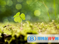 達州2022年中考網(wǎng)上學校