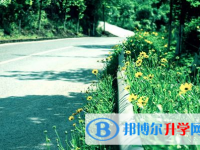 達州2022年中考信息服務平臺