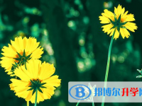 達州2022年中考藝體時間