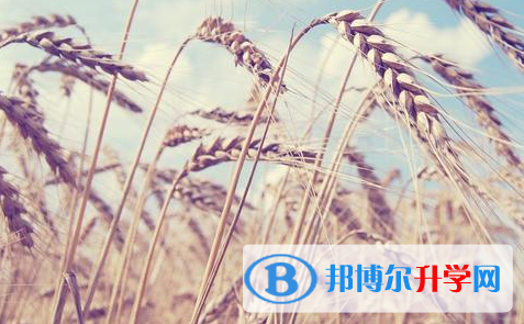 達州2022年中考招生辦