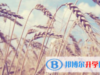 達州2022年中考招生辦