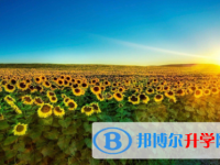 達州2022年中考招生考試