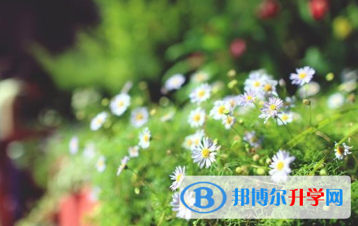 達(dá)州2022年中考招生情況