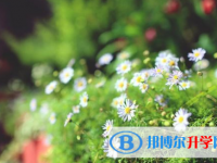 達州2022年中考招生情況