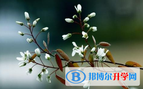 達州2022年中考重點復習資料