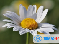 達州2022年中考失利怎么辦