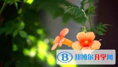 達(dá)州2022年中考報名網(wǎng)站登錄