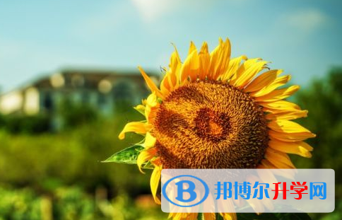 達(dá)州2022年中考報(bào)名網(wǎng)站是什么