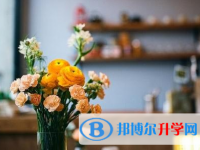 達州2022年中考網上志愿如何打印