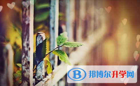 達州2022年中考志愿填報網址