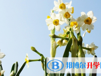 達(dá)州2022年中考志愿怎么錄取