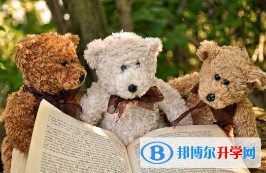 巴中2022年教育網中考查詢