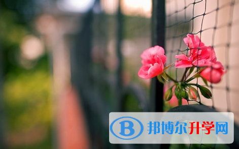 巴中2022年中考查詢系統的密碼記不到了怎么辦