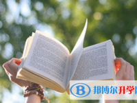 巴中2022年中考網絡應用服務平臺