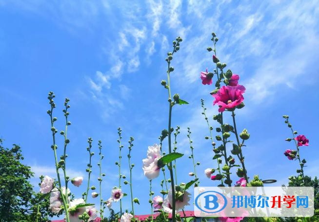 雅安2022年中考成績(jī)?nèi)绾尾樵? width=