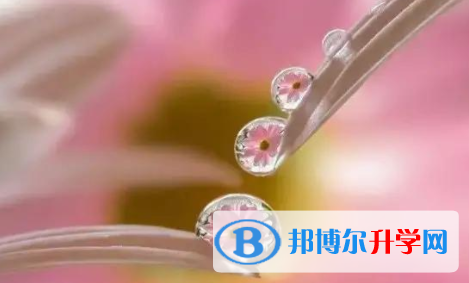 巴中2022年中考報考學校名單