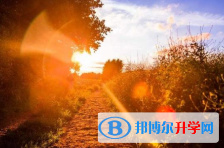 巴中2022年中考報(bào)名