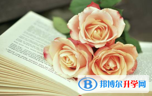 巴中2022年中考各科高頻考點(diǎn)
