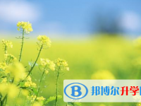 巴中2022年中考體考標準