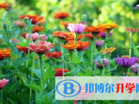巴中2022年中考應對策略