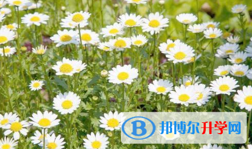 巴中2022年中考準考證丟了怎么辦