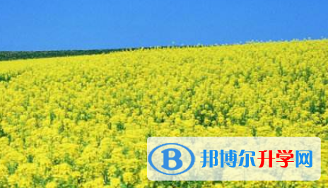 巴中2022年中考沒考好可以復讀嗎