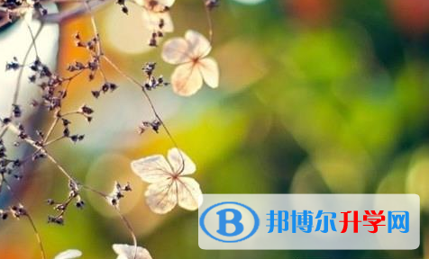 巴中2022年中考沒(méi)考好怎么辦