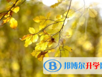 巴中2022年中考緊張?jiān)趺崔k