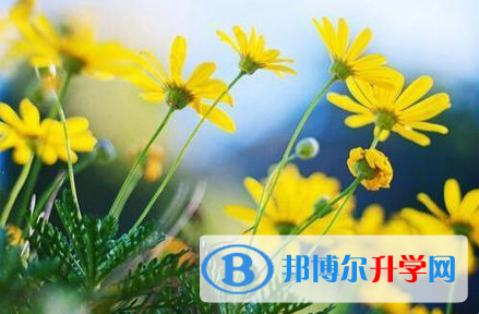 巴中2022年中考報名網站登錄