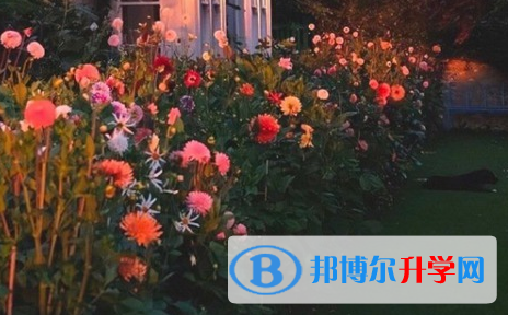 巴中2022年中考報名網(wǎng)站是什么