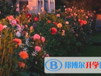 巴中2022年中考報名網址