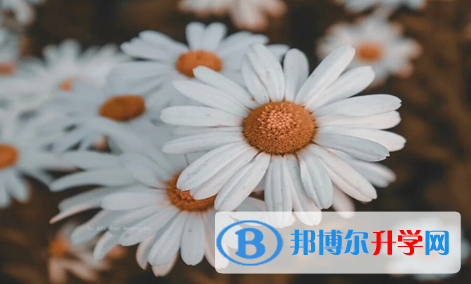巴中2022年中考網(wǎng)絡(luò)應(yīng)用服務(wù)平臺登錄