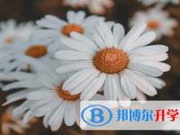 巴中2022年中考網絡應用服務平臺登錄