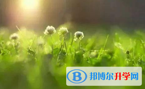 巴中2022年中考志愿填報(bào)