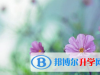 巴中2022年中考志愿填報網址